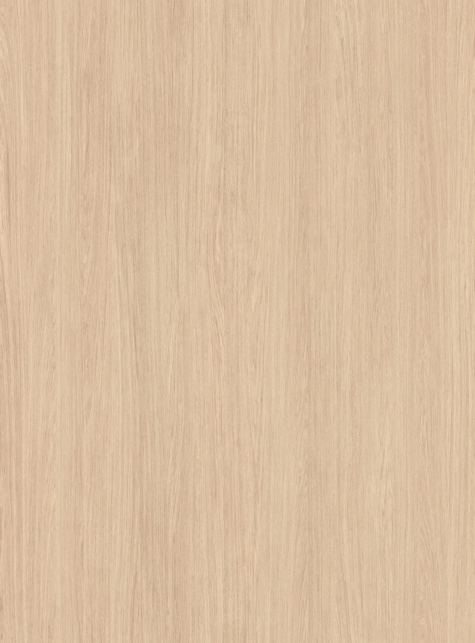 K Silk Primavera Oak xmm q