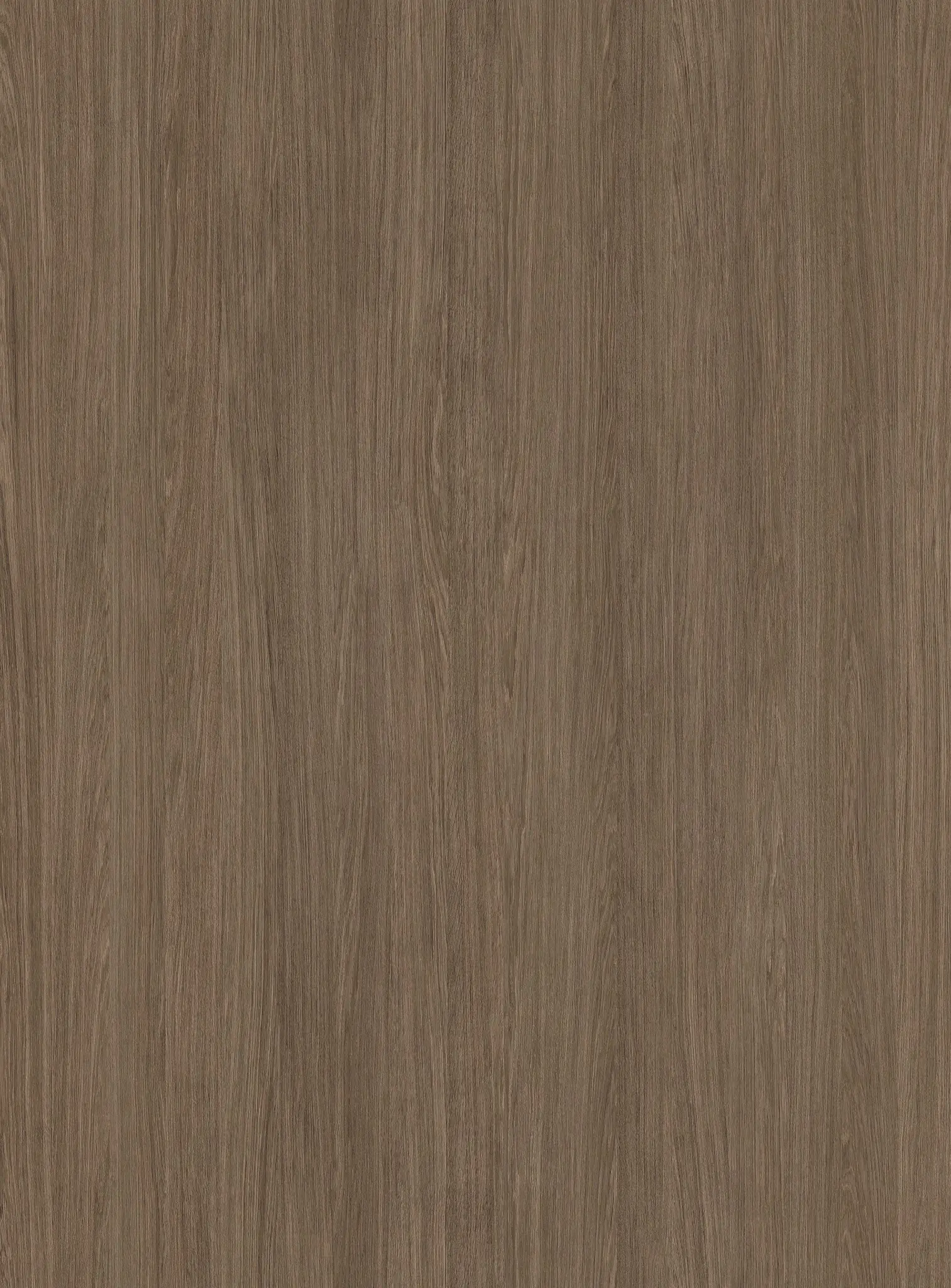 K Umber Primavera Oak xmm q